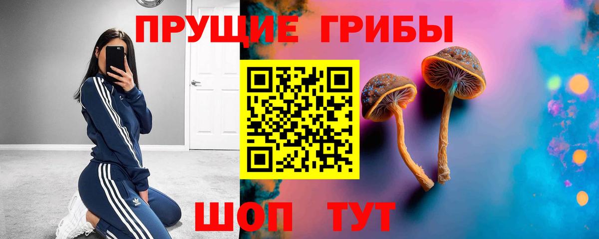 где найти   Вход с VPN  Партизанск  Псилоцибиновые грибы Magic Shrooms 